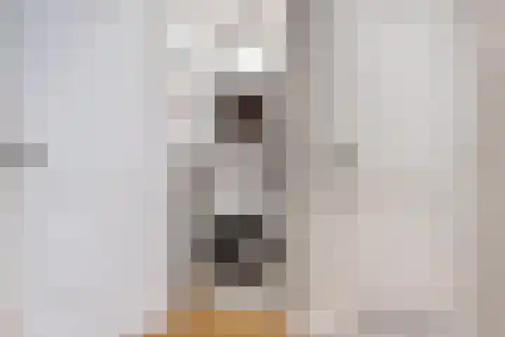 Loosduinsekade 30 Den Haag thumbnail 27