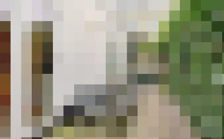 Loosduinsekade 30 Den Haag thumbnail 28