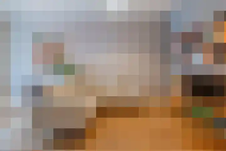 Loosduinsekade 30 Den Haag thumbnail 8