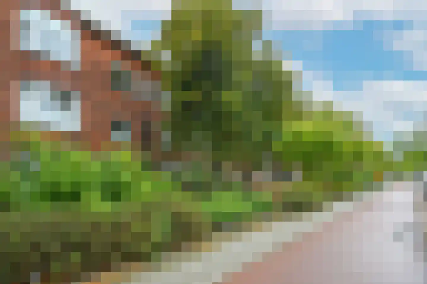 Loosduinsekade 318 Den Haag thumbnail 30