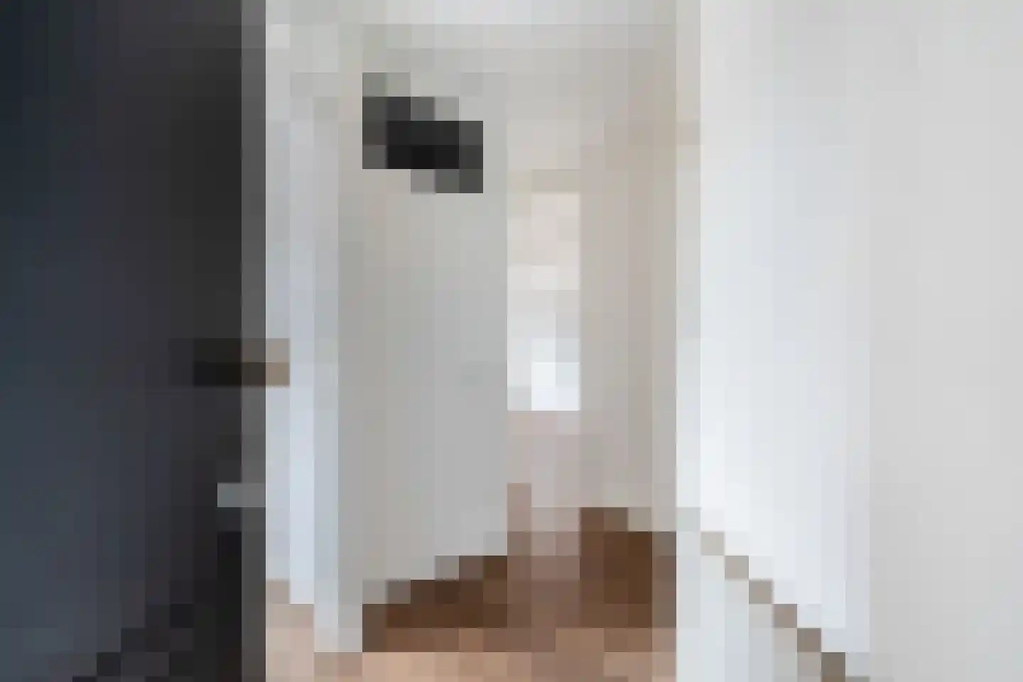 Loosduinsekade 336 Den Haag thumbnail 10