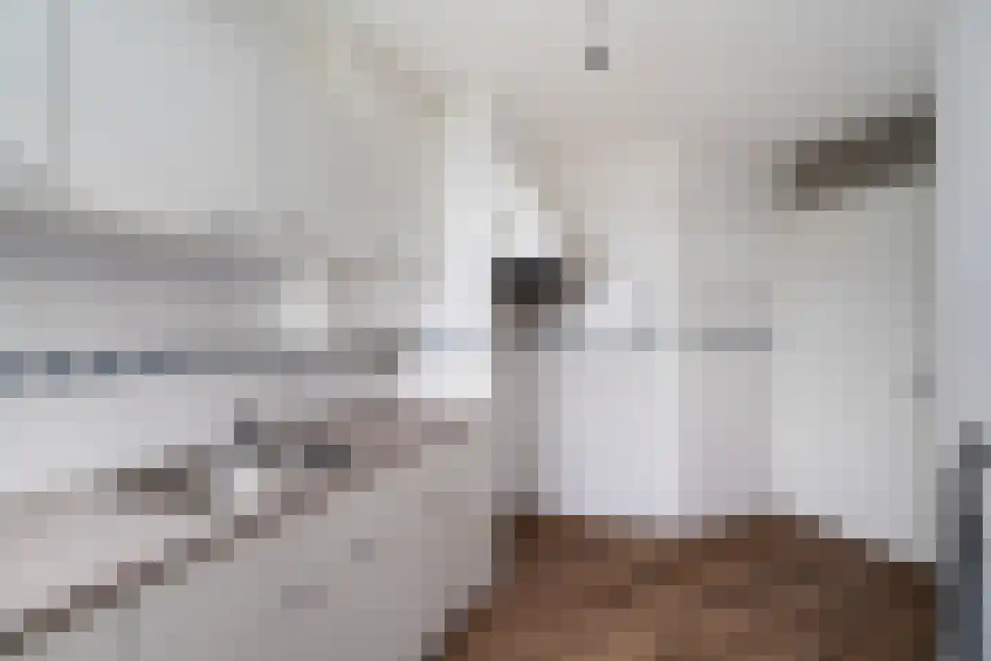 Loosduinsekade 336 Den Haag thumbnail 18