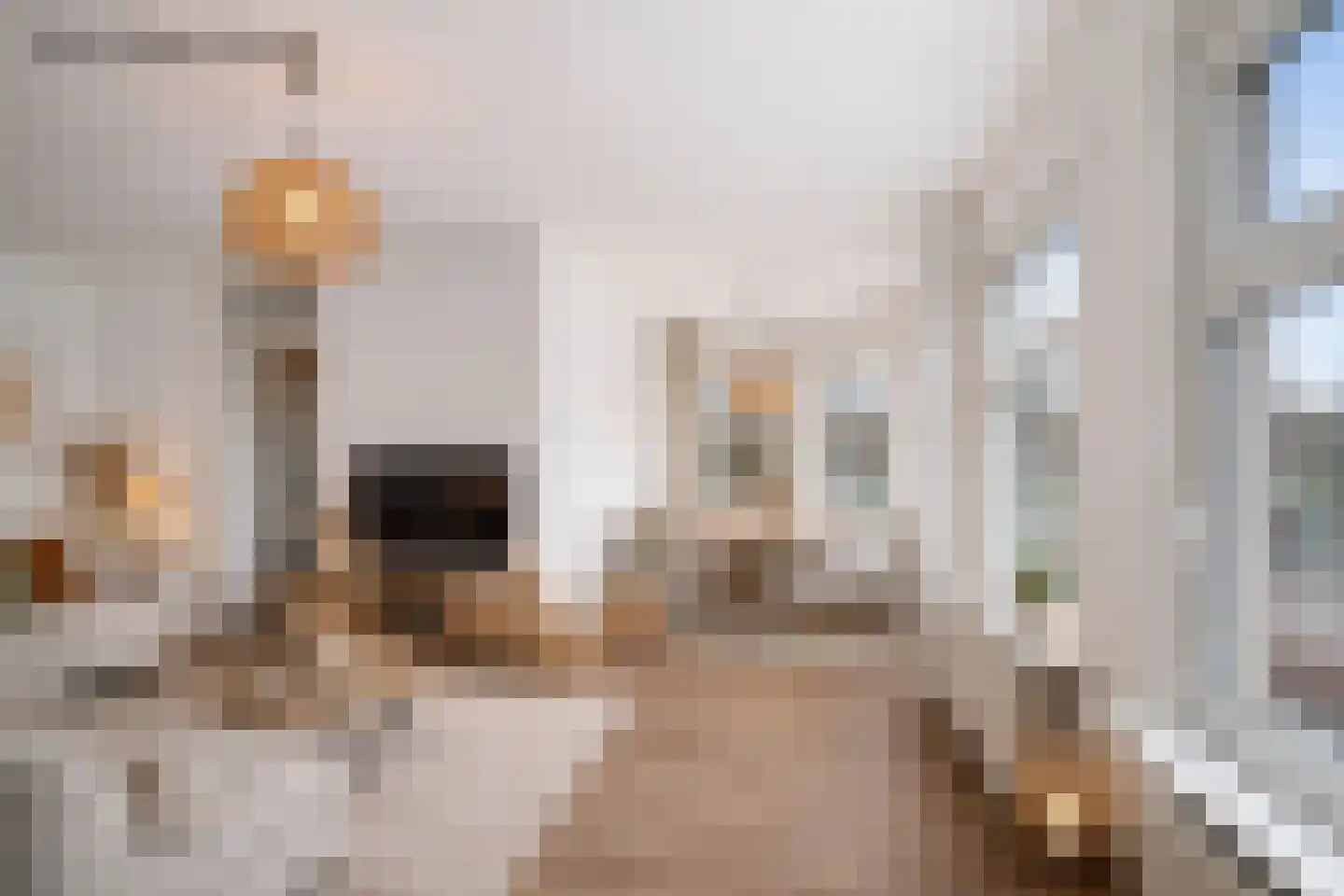 Loosduinsekade 336 Den Haag thumbnail 25