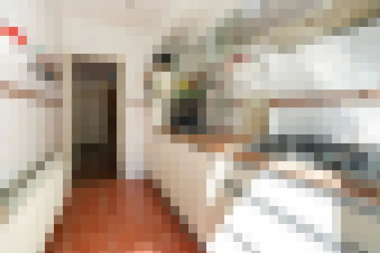 Loosduinsekade 367 Den Haag thumbnail 12
