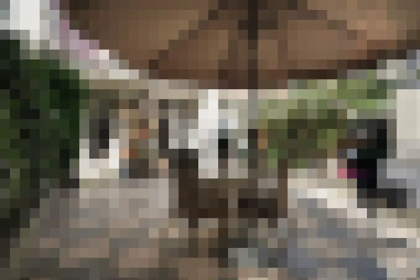 Loosduinsekade 367 Den Haag thumbnail 7