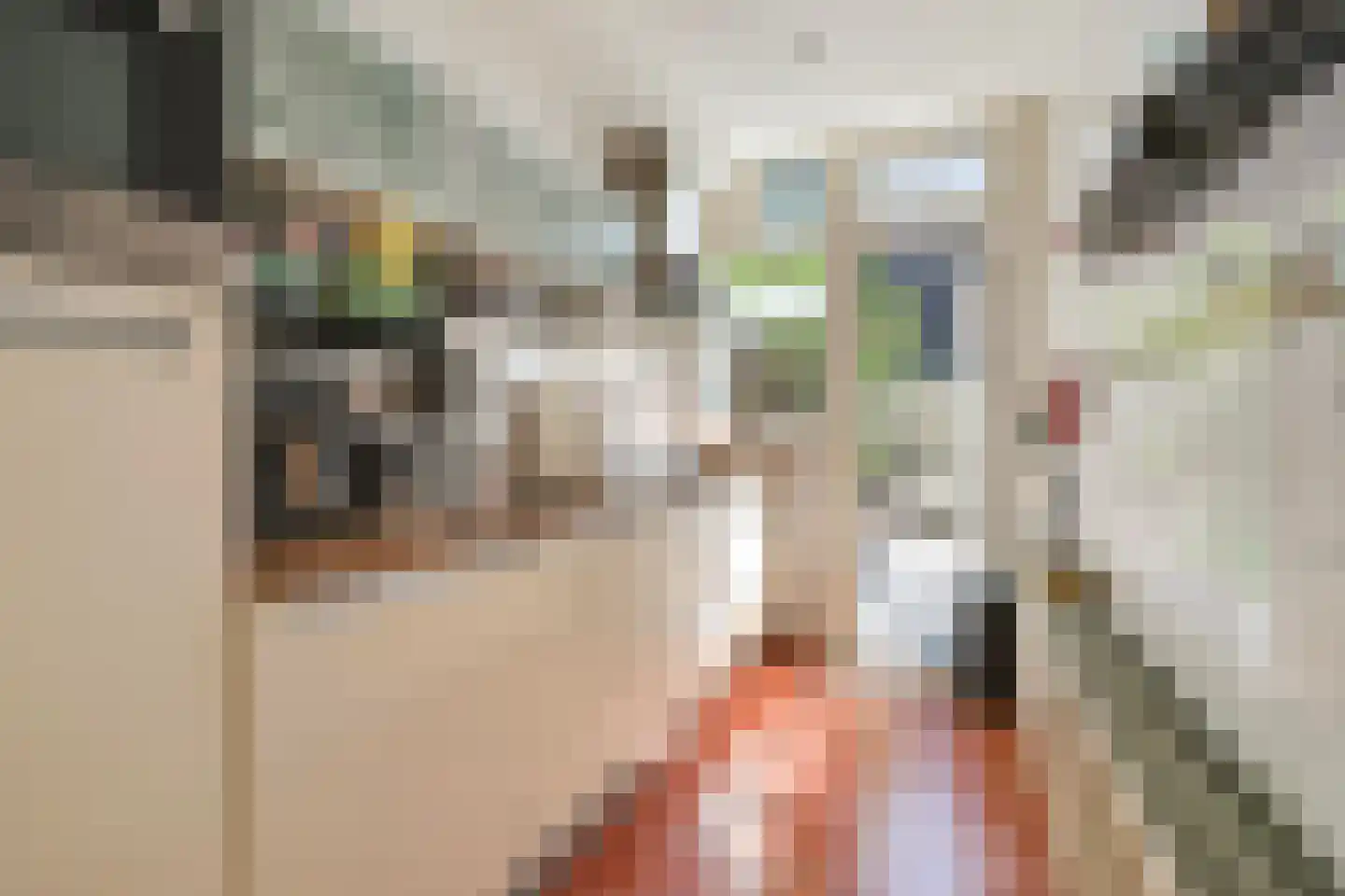 Loosduinsekade 367 Den Haag thumbnail 8
