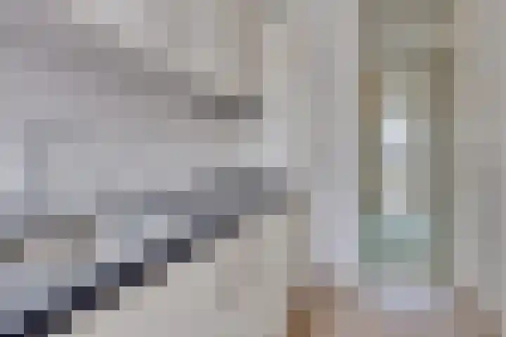 Loosduinsekade 372 Den Haag thumbnail 11