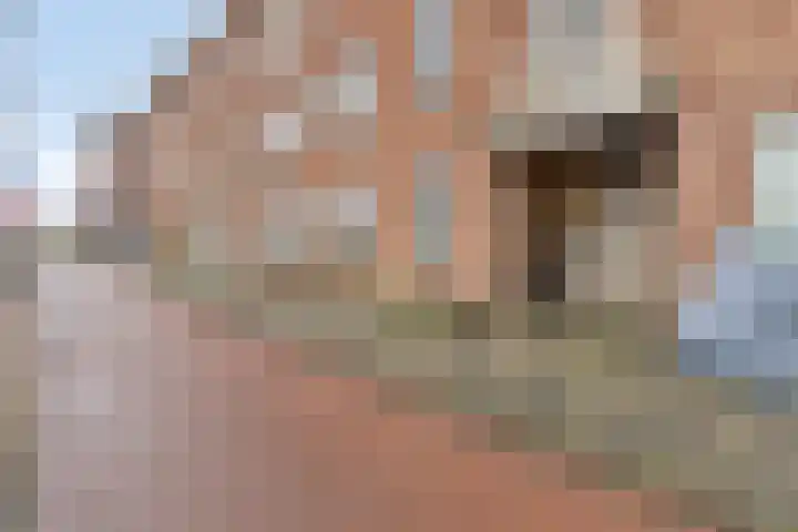 Loosduinsekade 372 Den Haag thumbnail 18