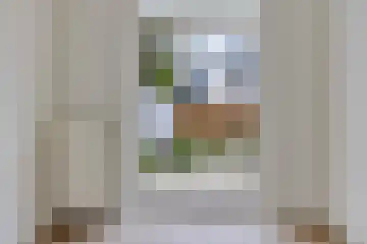 Loosduinsekade 372 Den Haag thumbnail 7