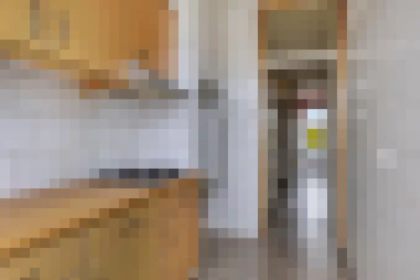 Loosduinsekade 376 Den Haag thumbnail 15