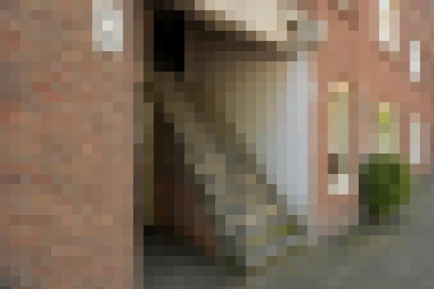 Loosduinsekade 388 Den Haag thumbnail 12