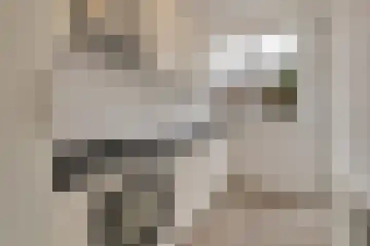 Loosduinsekade 405 Den Haag thumbnail 13