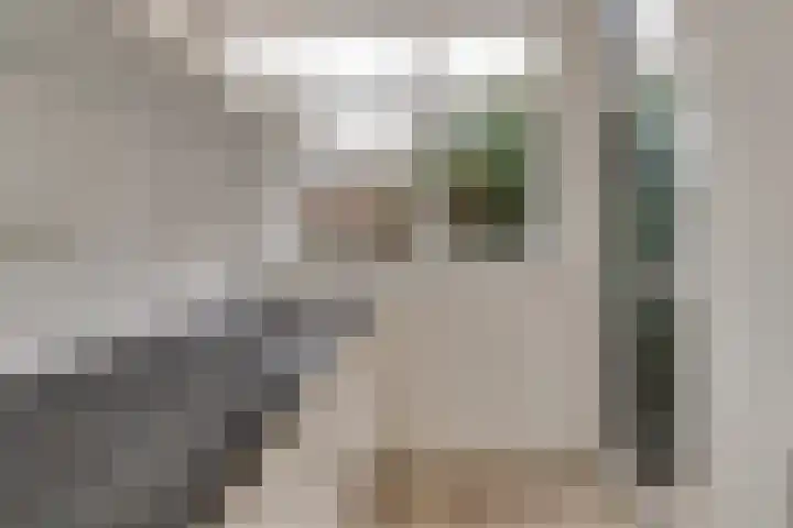 Loosduinsekade 405 Den Haag thumbnail 14