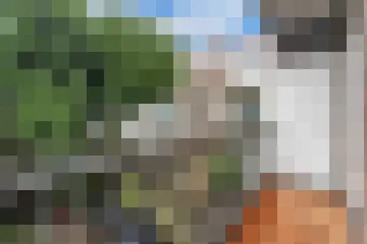 Loosduinsekade 405 Den Haag thumbnail 15