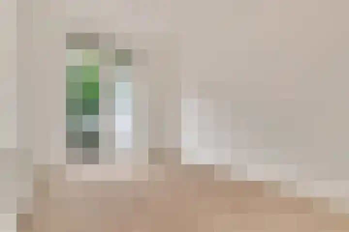 Loosduinsekade 405 Den Haag thumbnail 9