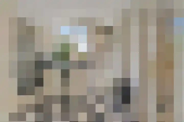 Loosduinsekade 409 Den Haag thumbnail 4