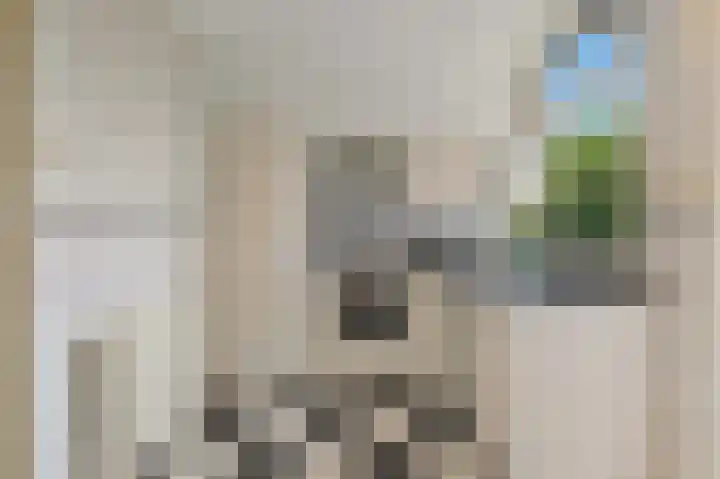 Loosduinsekade 409 Den Haag thumbnail 6