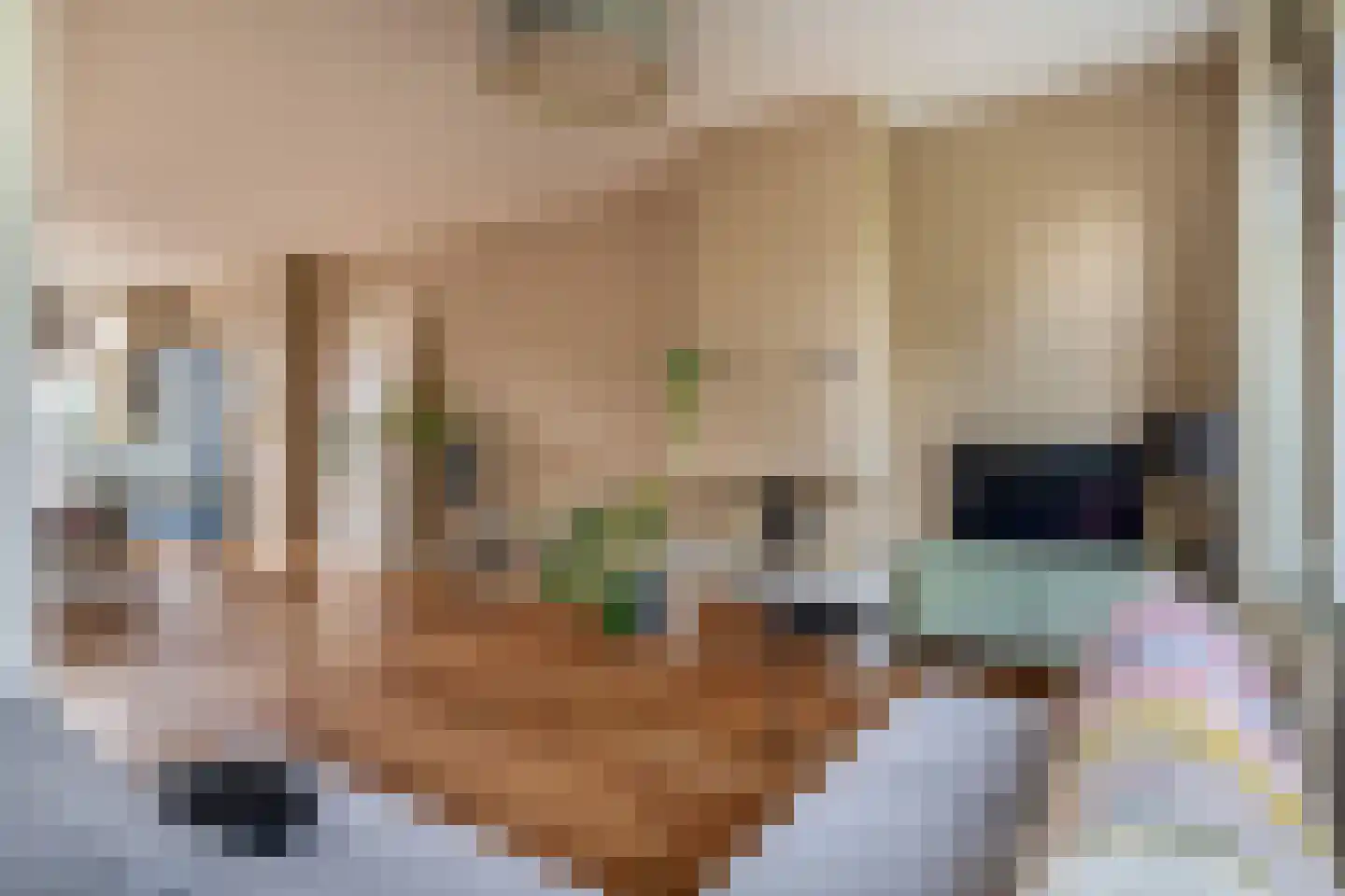 Loosduinsekade 41 A Den Haag thumbnail 11