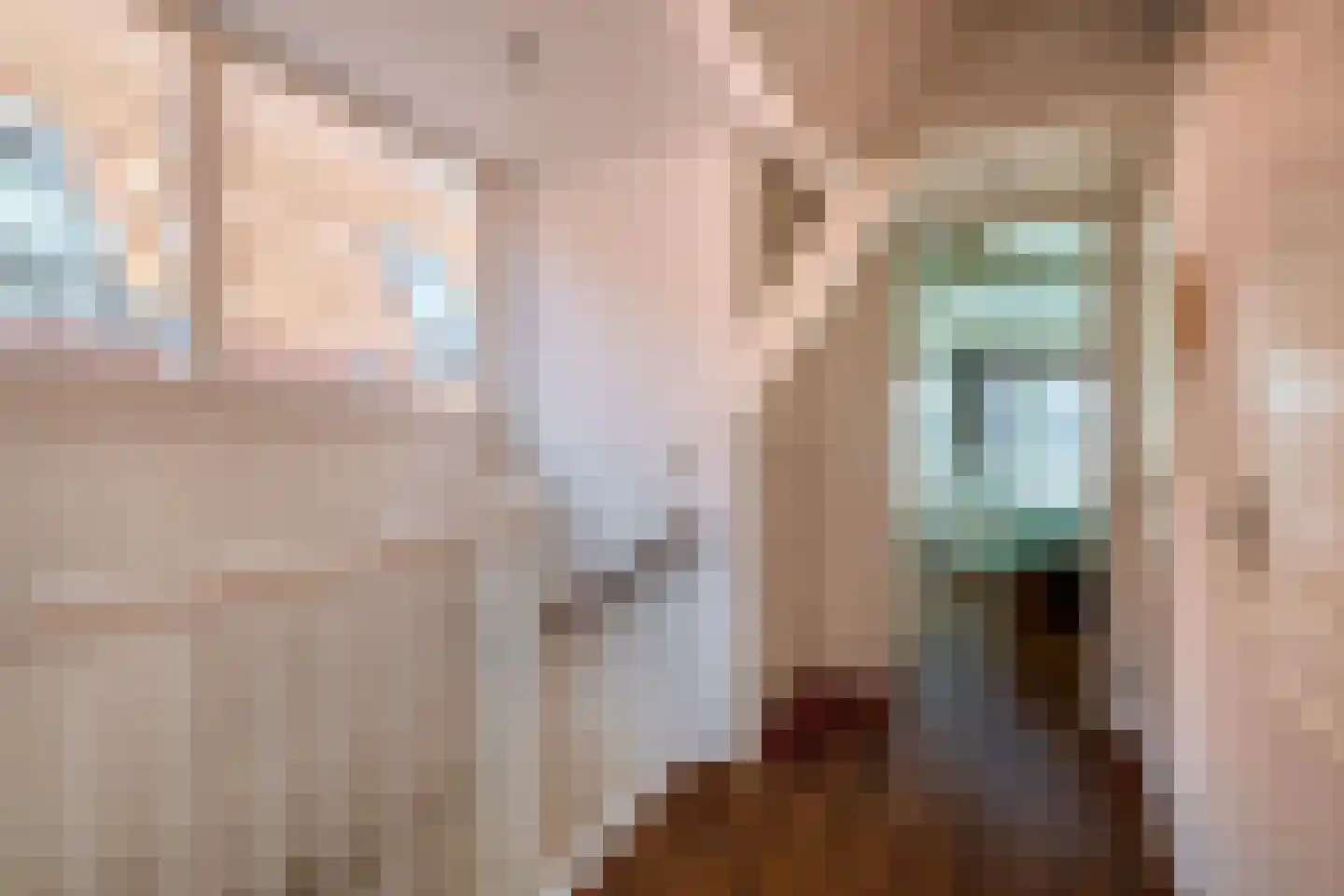 Loosduinsekade 41 A Den Haag thumbnail 23
