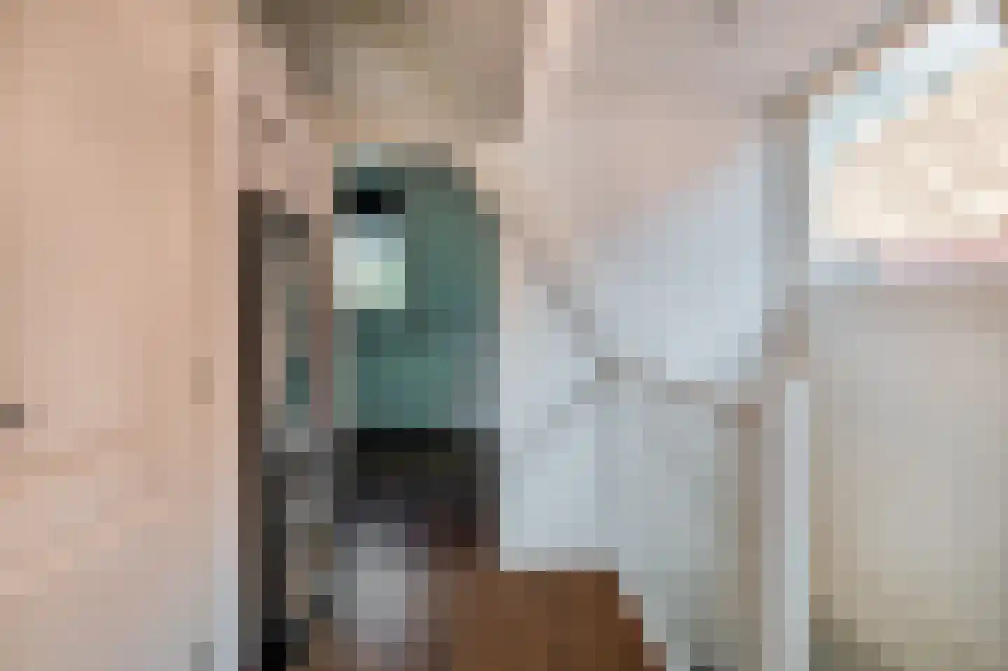 Loosduinsekade 41 A Den Haag thumbnail 24