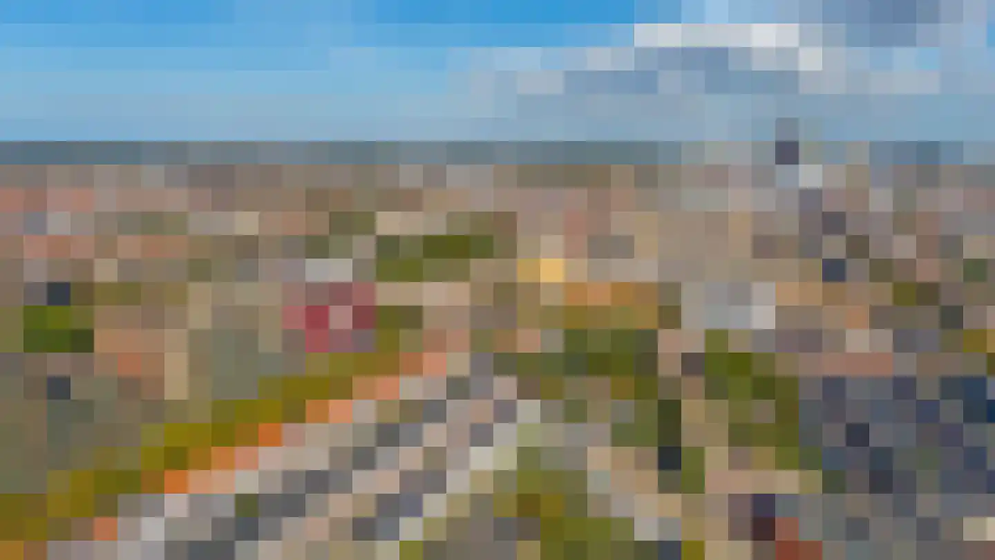 Loosduinsekade 41 A Den Haag thumbnail 36
