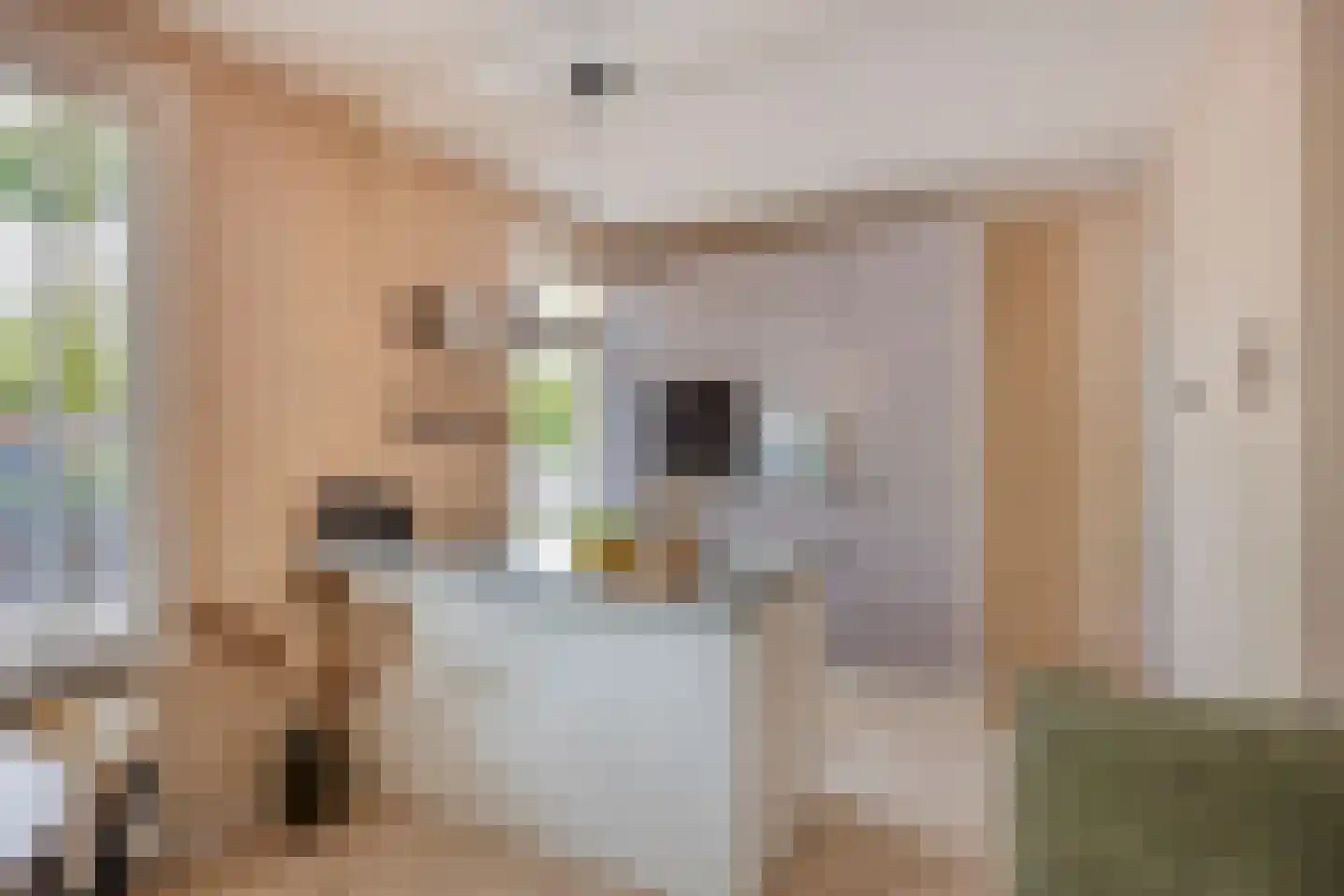 Loosduinsekade 415 Den Haag thumbnail 10
