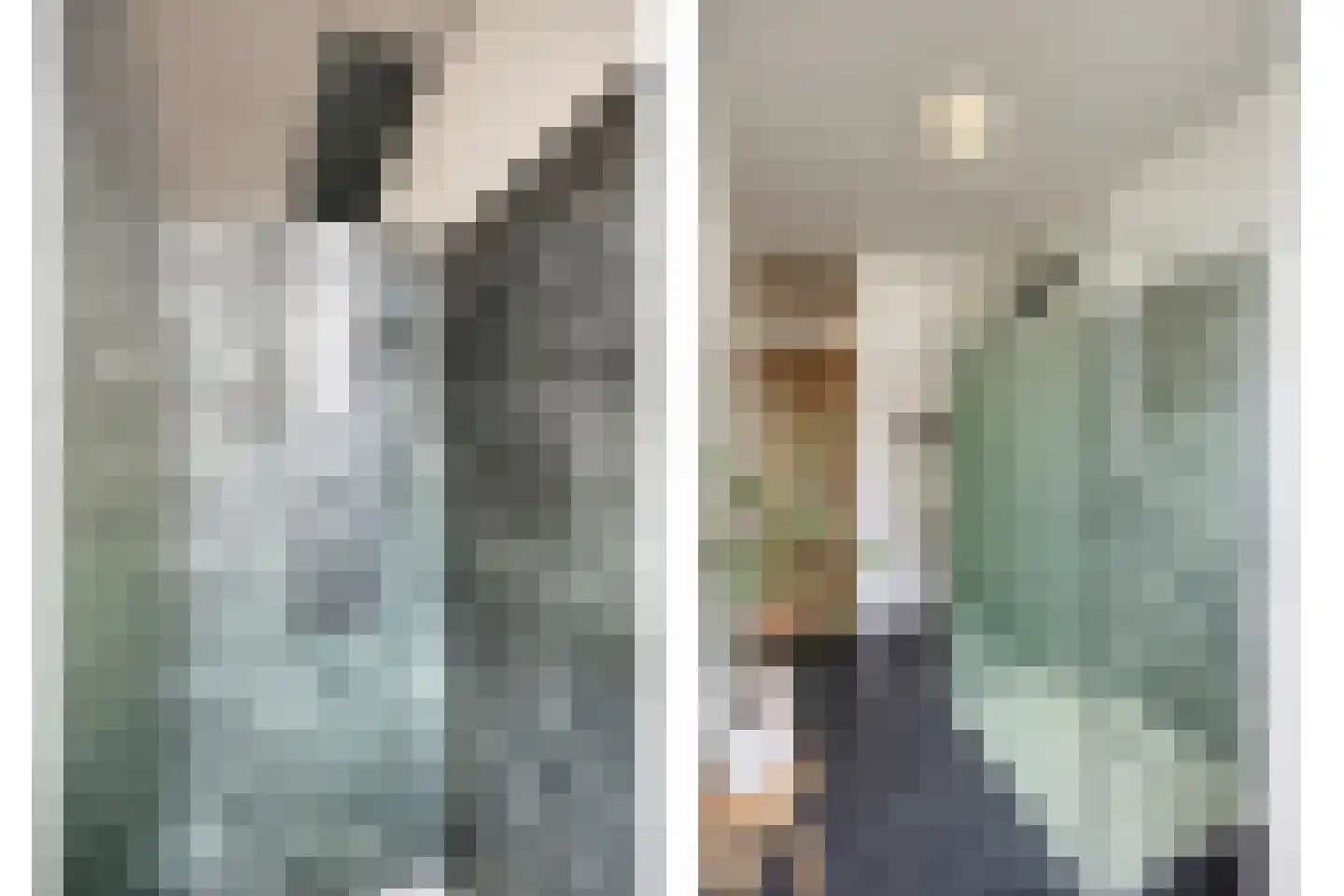 Loosduinsekade 415 Den Haag thumbnail 16