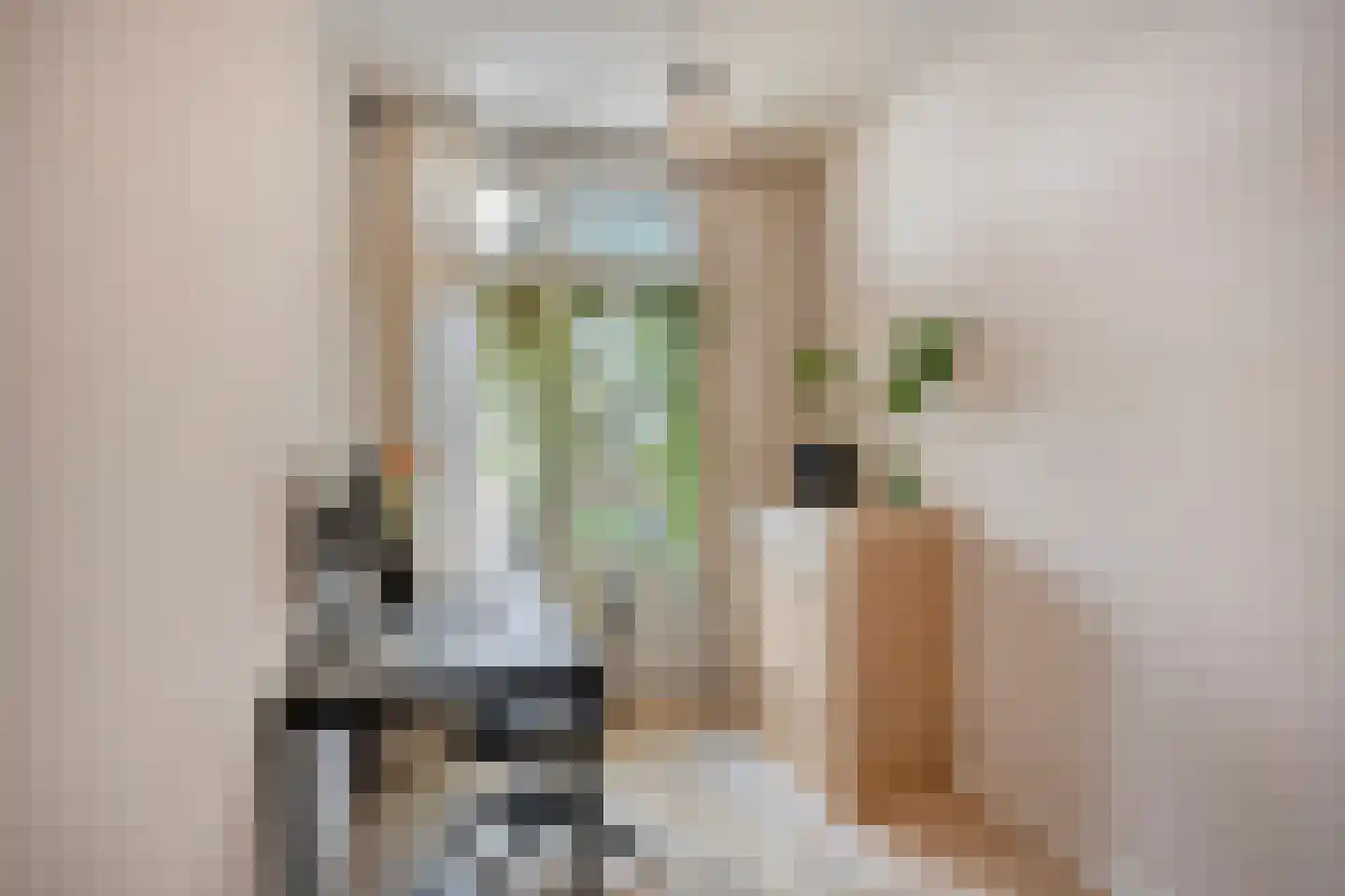 Loosduinsekade 415 Den Haag thumbnail 18