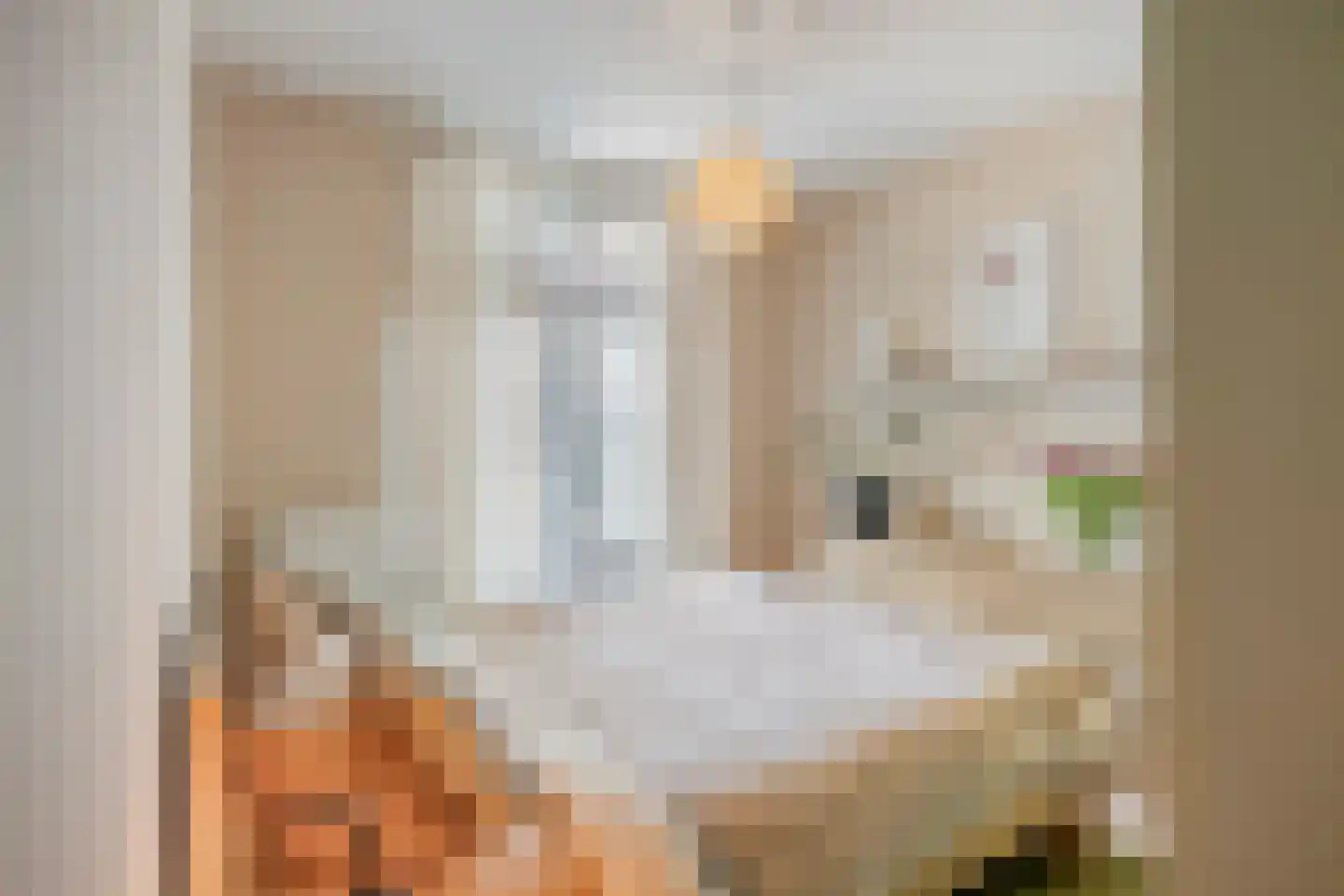 Loosduinsekade 415 Den Haag thumbnail 19