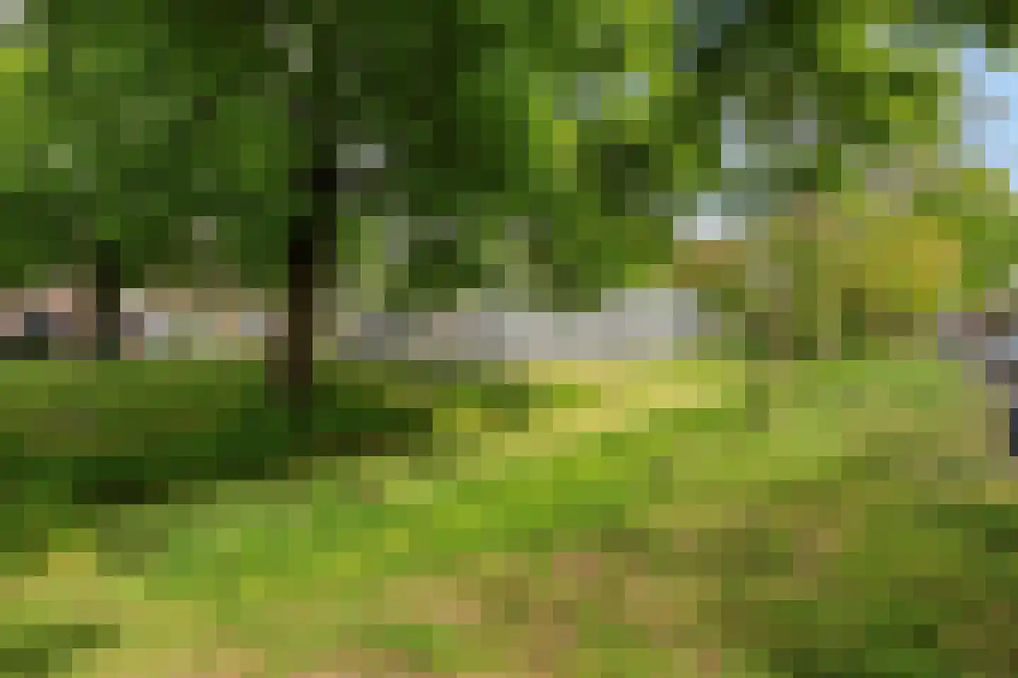 Loosduinsekade 415 Den Haag thumbnail 26