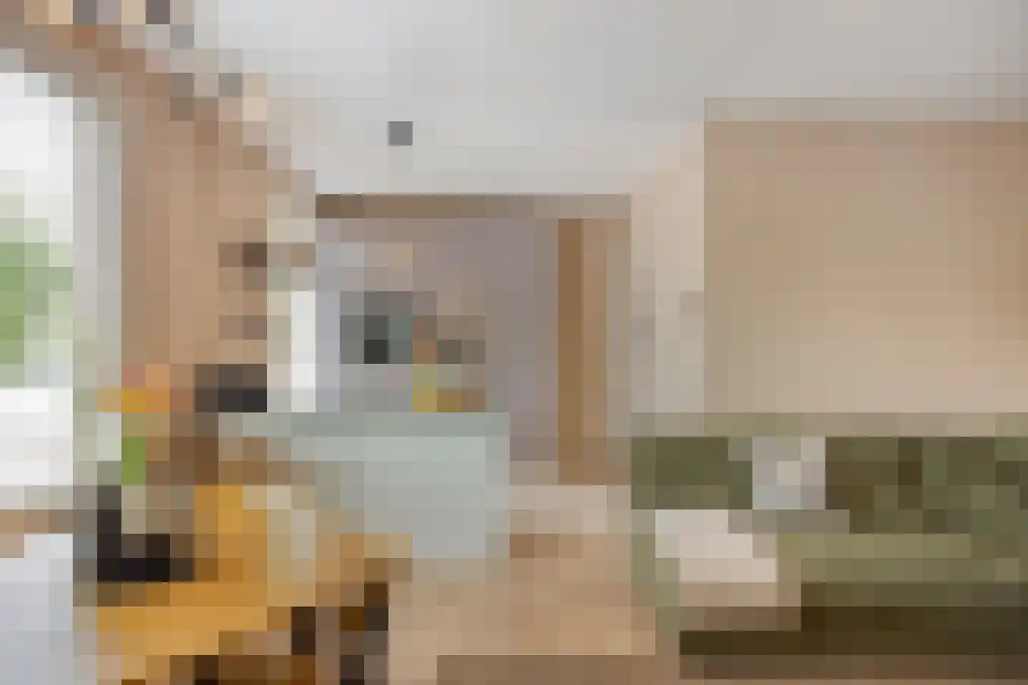 Loosduinsekade 415 Den Haag thumbnail 8