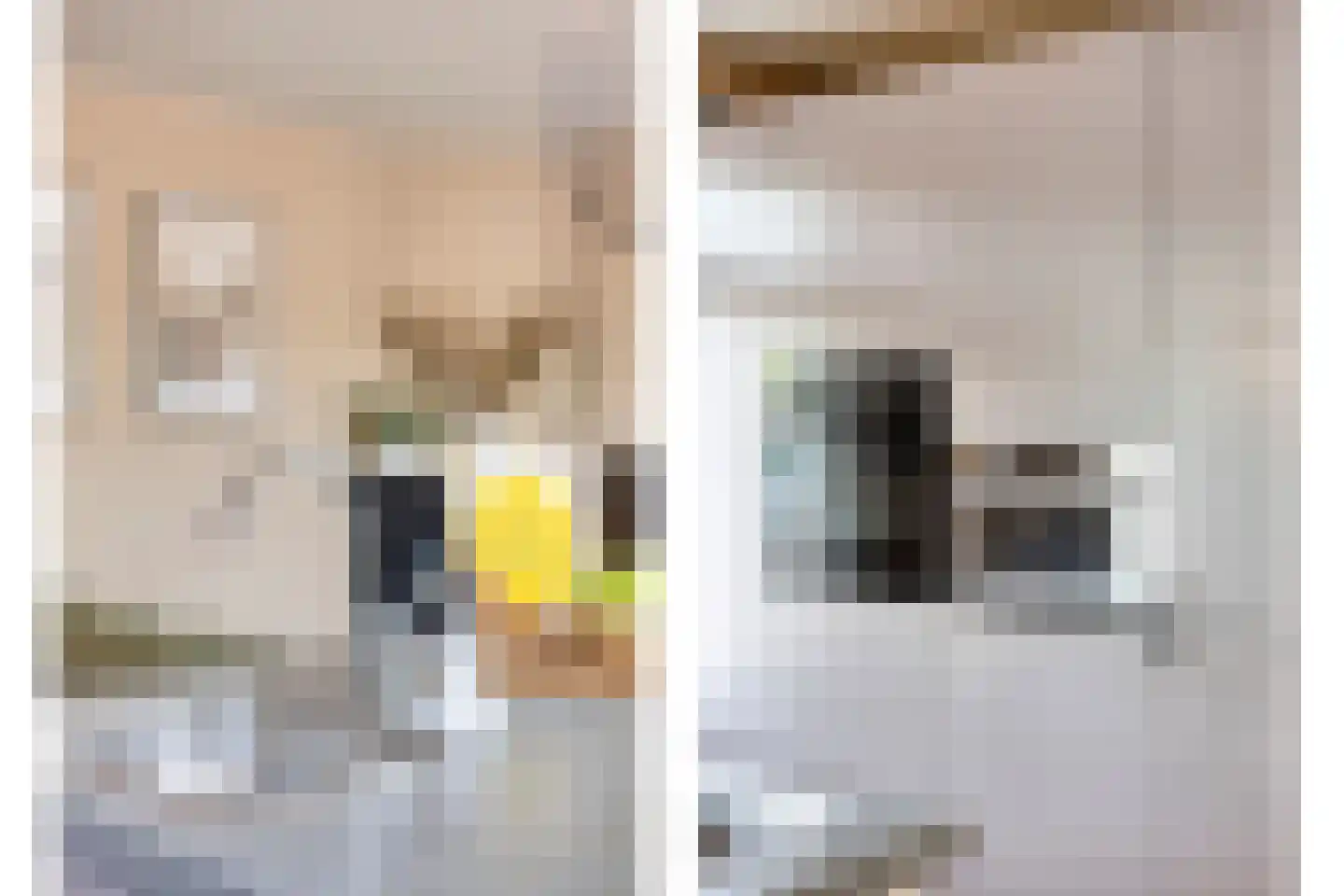 Loosduinsekade 415 Den Haag thumbnail 9