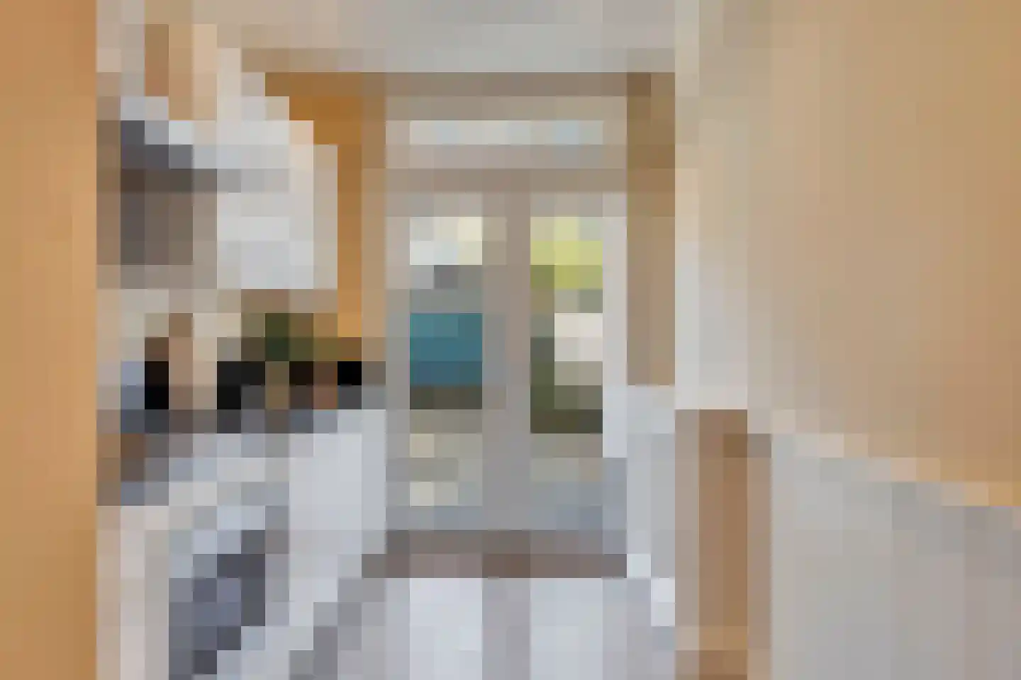 Loosduinsekade 426 Den Haag thumbnail 10