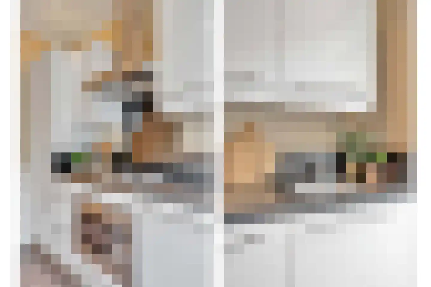 Loosduinsekade 426 Den Haag thumbnail 11