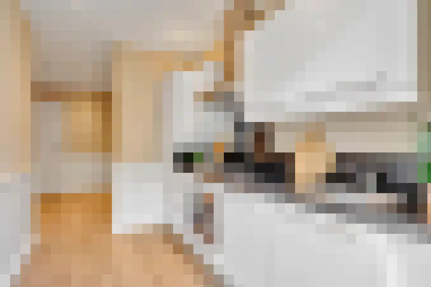 Loosduinsekade 426 Den Haag thumbnail 8