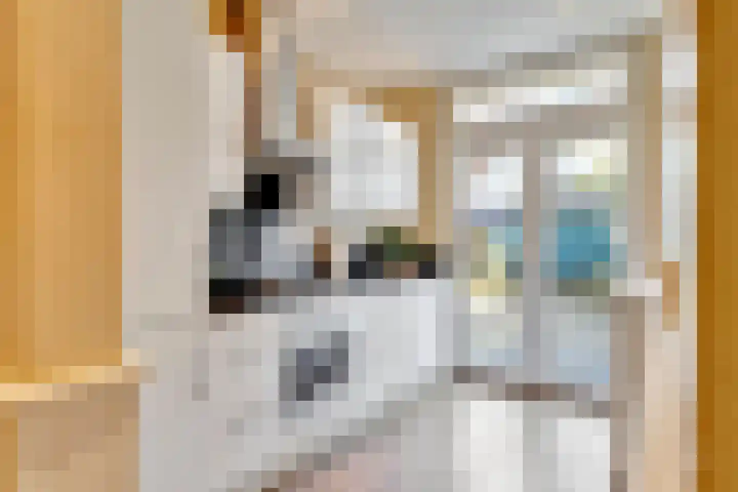 Loosduinsekade 426 Den Haag thumbnail 9