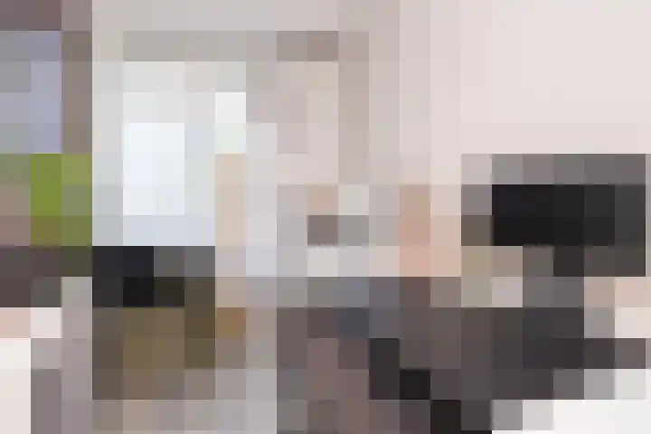 Loosduinsekade 447 Den Haag thumbnail 19