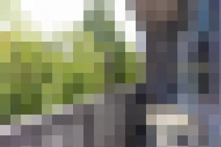 Loosduinsekade 447 Den Haag thumbnail 22