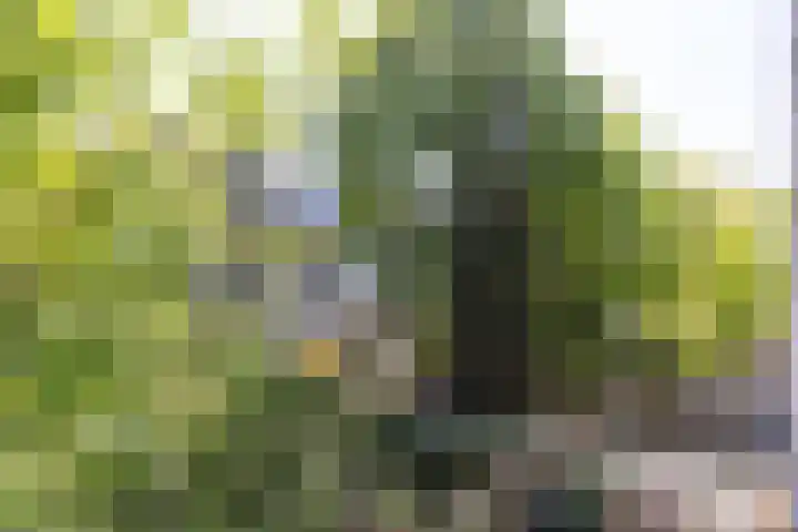Loosduinsekade 447 Den Haag thumbnail 23