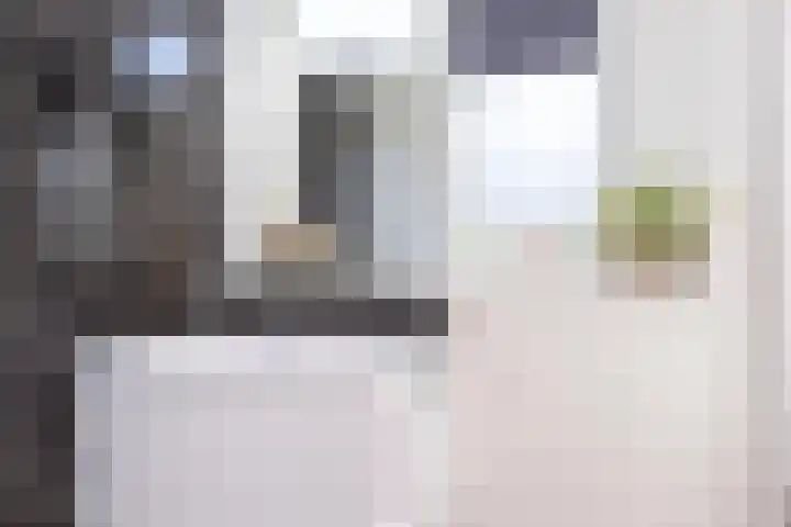 Loosduinsekade 447 Den Haag thumbnail 25
