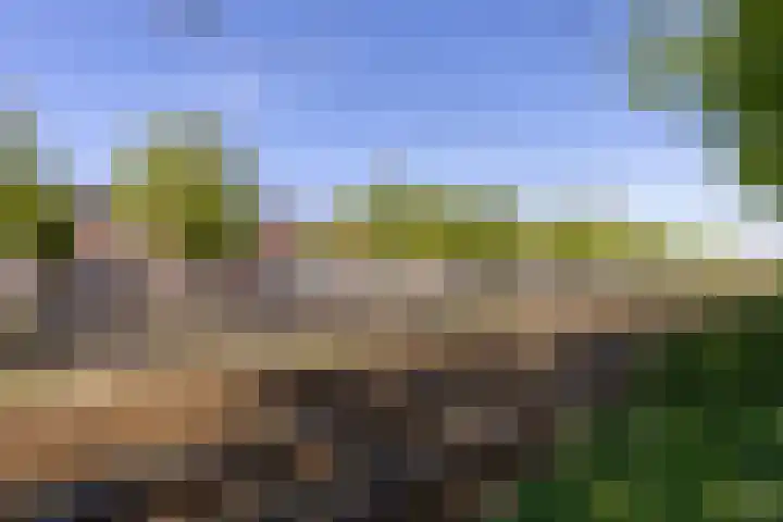 Loosduinsekade 447 Den Haag thumbnail 30