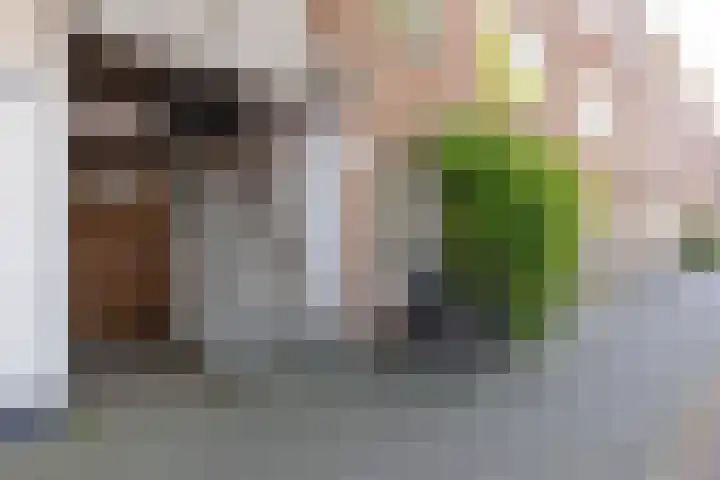 Loosduinsekade 447 Den Haag thumbnail 31