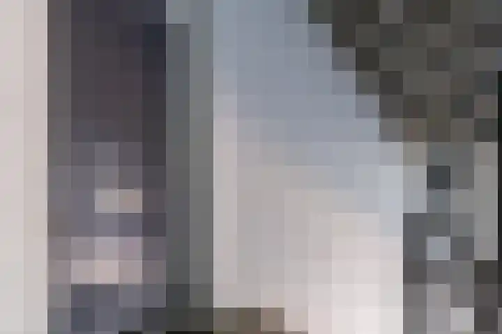 Loosduinsekade 447 Den Haag thumbnail 4