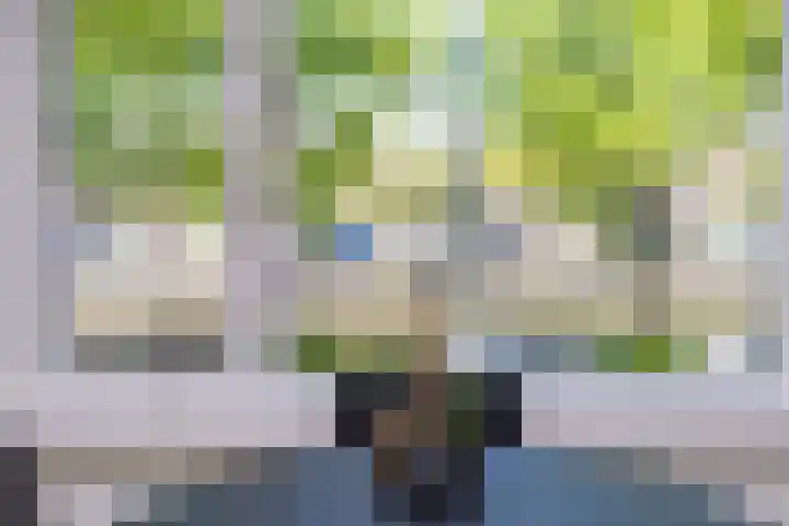 Loosduinsekade 447 Den Haag thumbnail 7