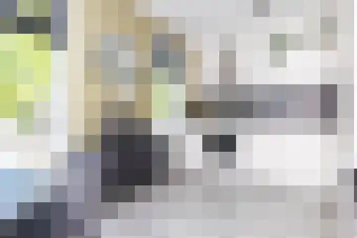 Loosduinsekade 447 Den Haag thumbnail 8