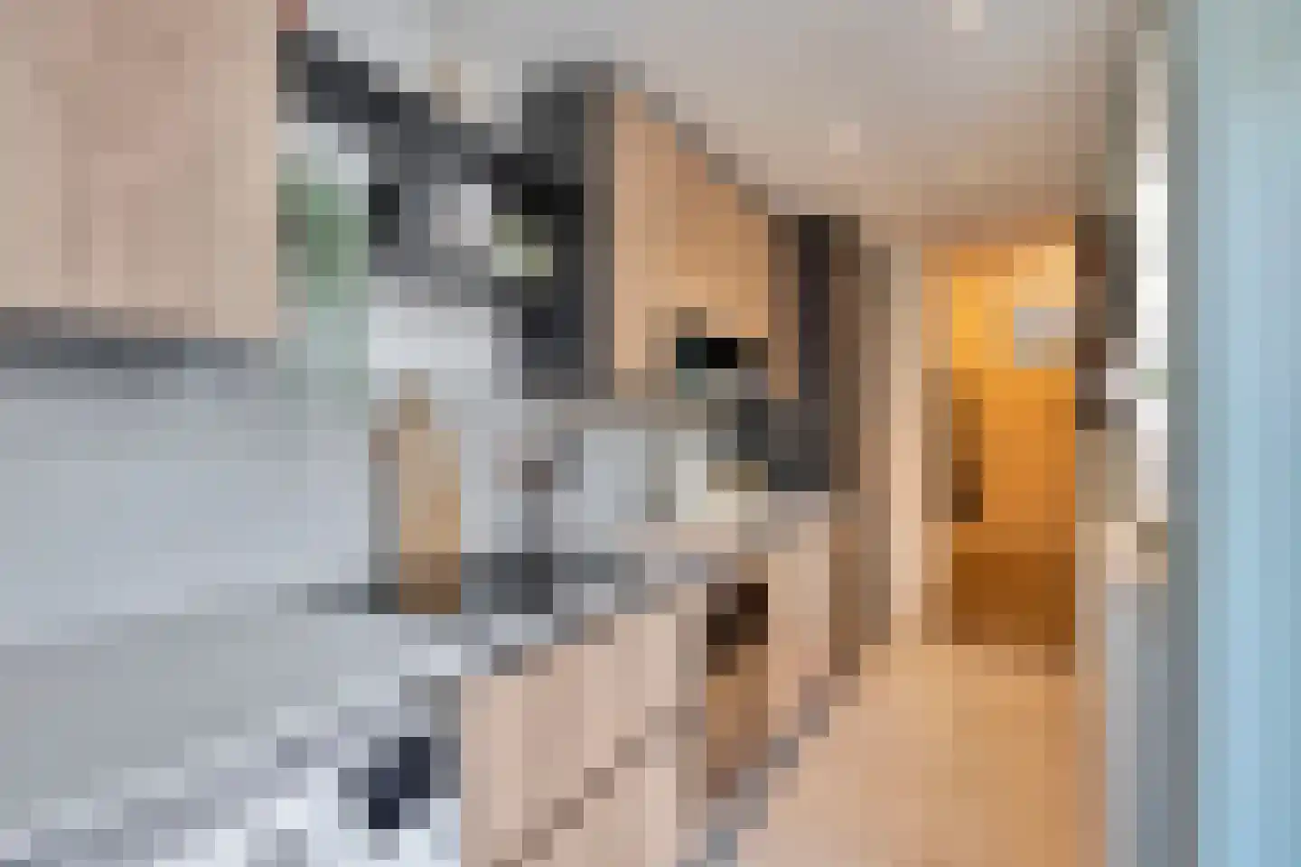 Loosduinsekade 478 Den Haag thumbnail 10