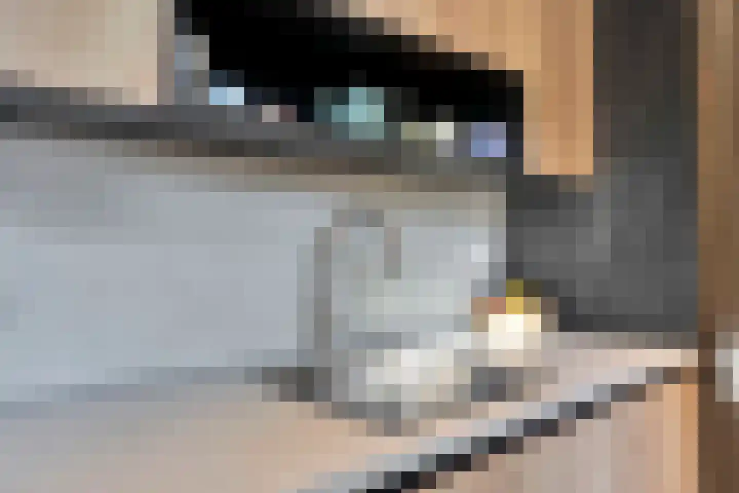 Loosduinsekade 478 Den Haag thumbnail 11