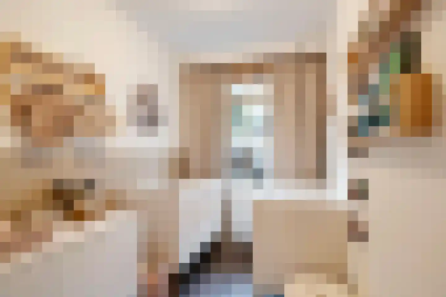 Loosduinsekade 478 Den Haag thumbnail 14