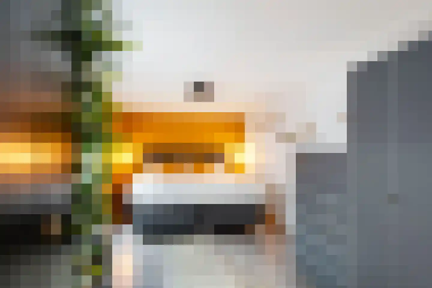 Loosduinsekade 478 Den Haag thumbnail 16