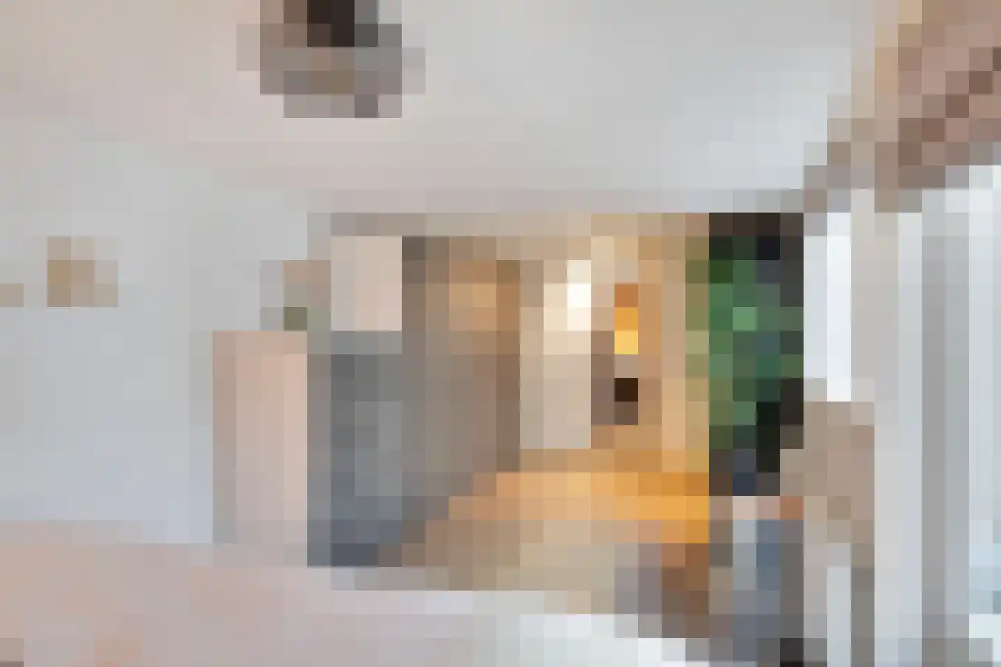 Loosduinsekade 478 Den Haag thumbnail 19
